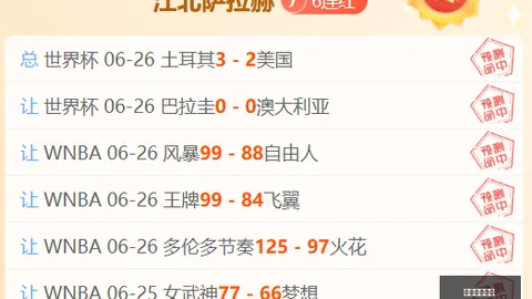 开云体育赞助 095031